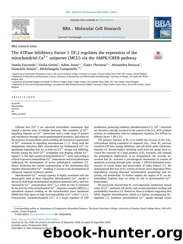 The ATPase Inhibitory Factor 1 (IF1) regulates the expression of the mitochondrial Ca2+ uniporter (MCU) via the AMPKCREB pathway by unknow