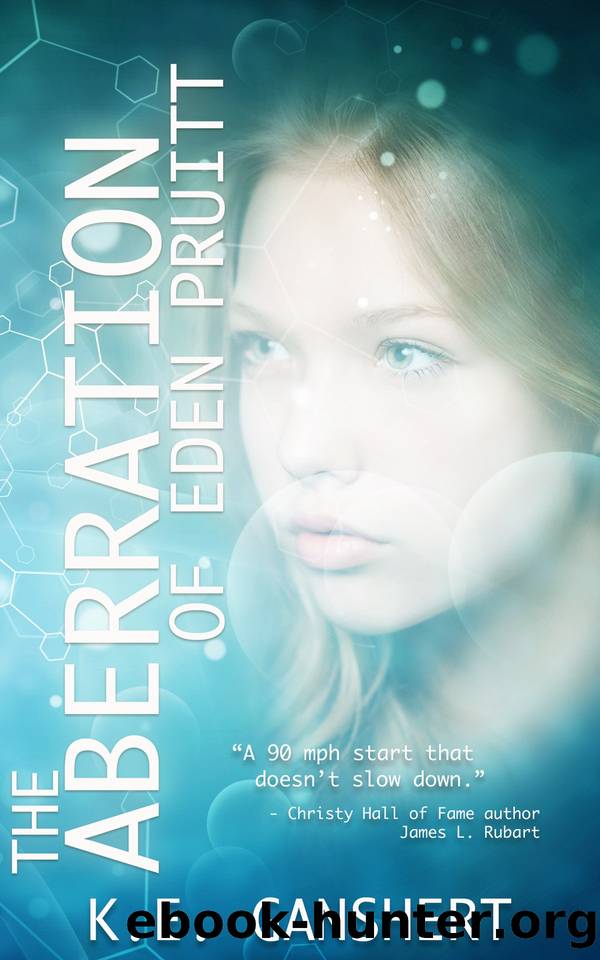 The Aberration of Eden Pruitt by K.E. Ganshert