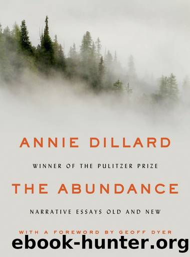 The Abundance: Narrative Essays Old and New by Annie Dillard
