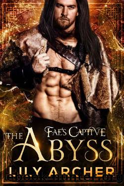 The Abyss (Fae's Captive Book 7) by Lily Archer