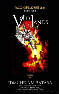 The Accidental Archmage: Book Four - Void Lands (The Accidental Archmage Series 4) by Edmund A.M. Batara