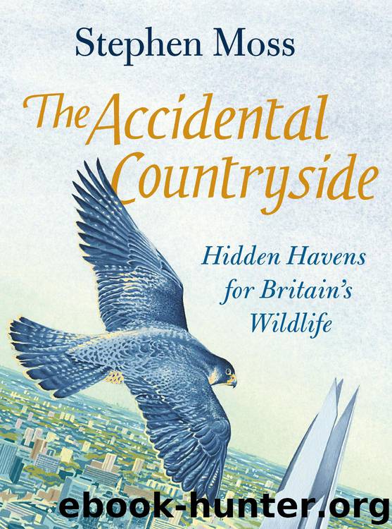 The Accidental Countryside by Stephen Moss