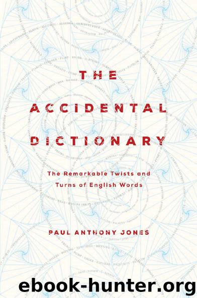 The Accidental Dictionary: The Remarkable Twists and Turns of English Words by Paul Anthony Jones