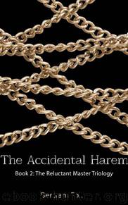 The Accidental Harem by Bertram Fox