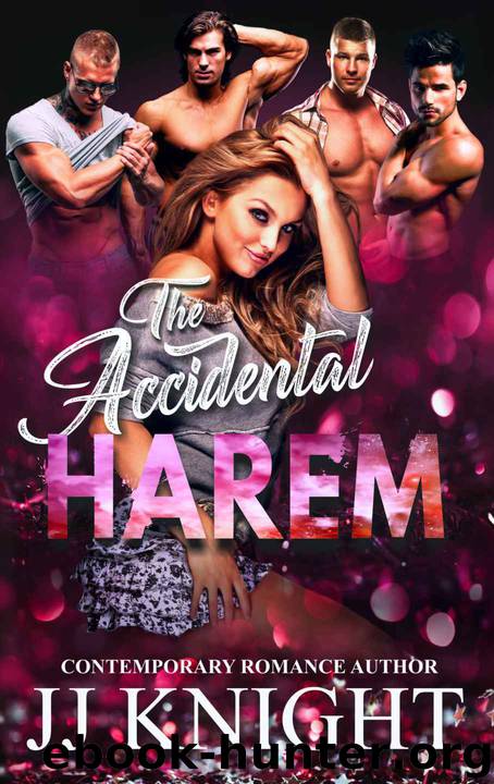 The Accidental Harem: A Contemporary Reverse Harem Romantic Comedy by JJ Knight