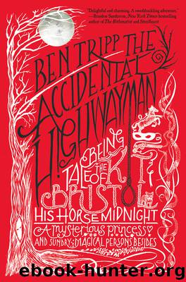 The Accidental Highwayman by Ben Tripp
