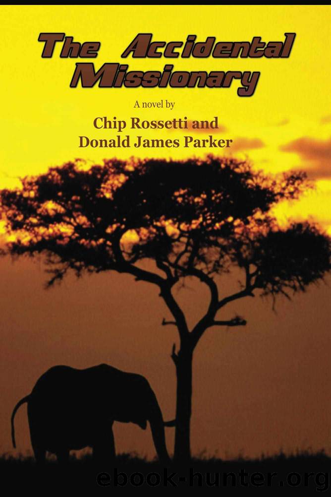 The Accidental Missionary by Donald Parker & Chip Rossetti
