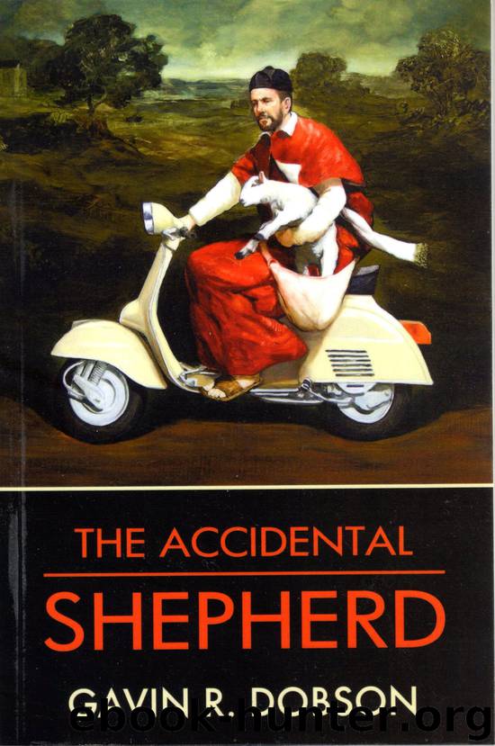 The Accidental Shepherd by Gavin Dobson