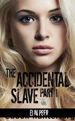 The Accidental Slave (Aya's story Part 1) by Elin Peer