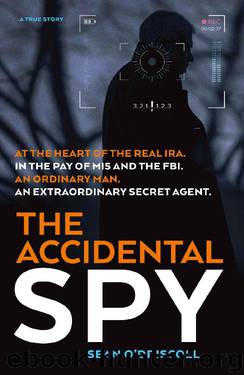 The Accidental Spy by Sean O'Driscoll