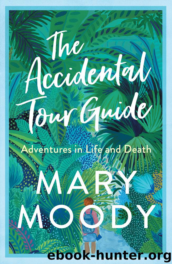 The Accidental Tour Guide by Mary Moody