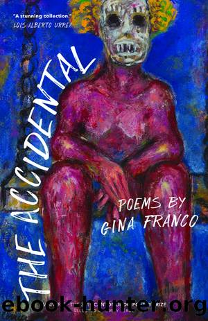The Accidental by Gina Franco
