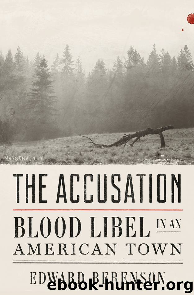 The Accusation by Edward Berenson