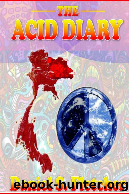 The Acid Diary by Daniel S. Fletcher