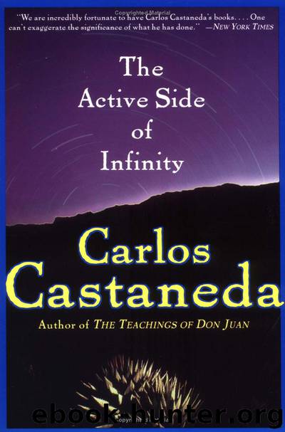 The Active Side of Infinity by Carlos Castaneda