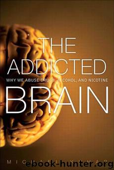 The Addicted Brain by Michael Kuhar
