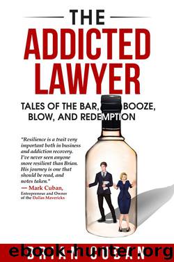 The Addicted Lawyer by Brian Cuban
