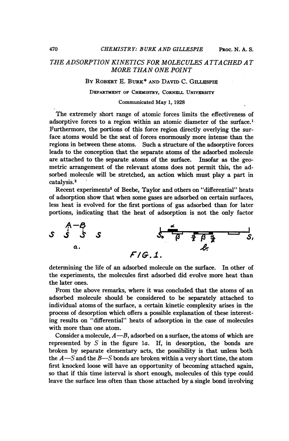 The Adsorption Kinetics for Molecules Attached at More than One Point by Burk R. E