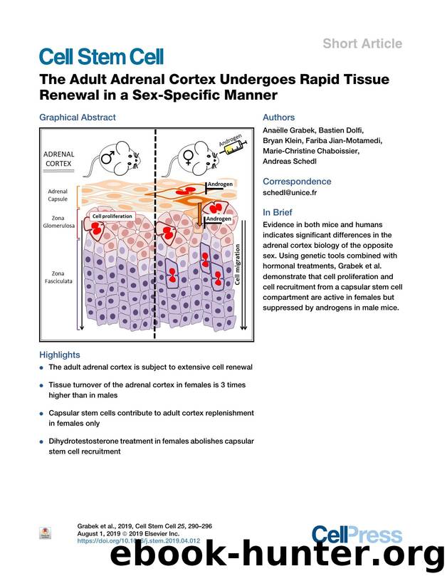 The Adult Adrenal Cortex Undergoes Rapid Tissue Renewal in a Sex-Specific Manner by unknow