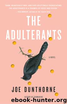 The Adulterants by Joe Dunthorne