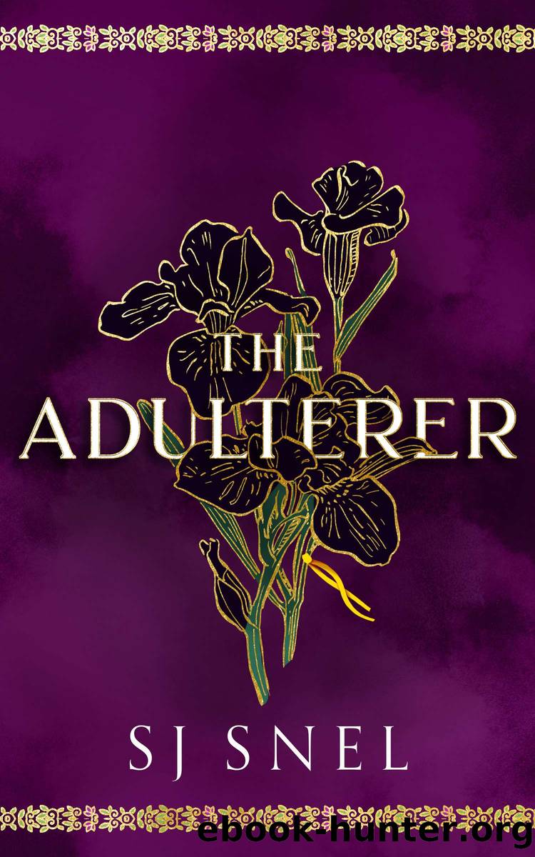The Adulterer by SJ Snel