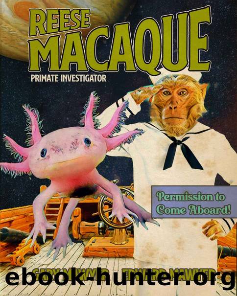 The Adventure of Ape Pagoda (The Adventures of Rhesus A. Macaque, Private Investigator) by Mawyer Gary & Mawyer Edward