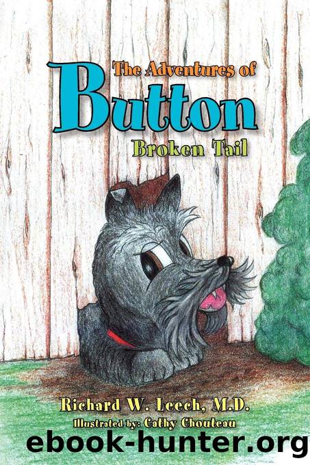 The Adventures of Button by Richard W Leech M. D