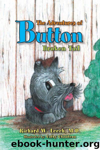 The Adventures of Button by Richard W. Leech