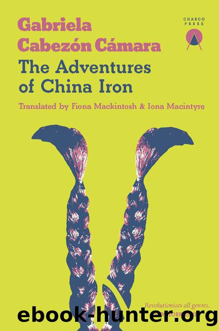 The Adventures of China Iron by Gabriela Cabezón Cámara