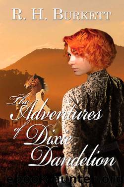 The Adventures of Dixie Dandelion by R. H. Burkett