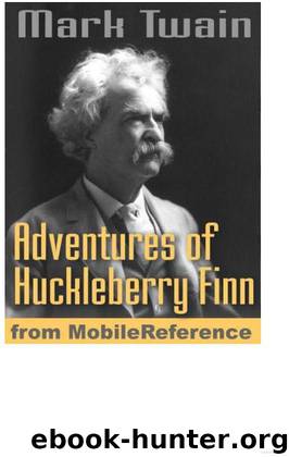 The Adventures of Huckleberry Finn. ILLUSTRATED: Illustrated by E. W. Kemble