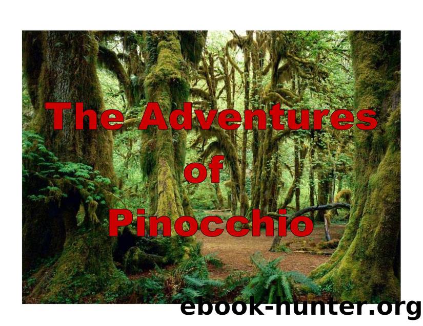 The Adventures of Pinocchio by Cecilia McCabe