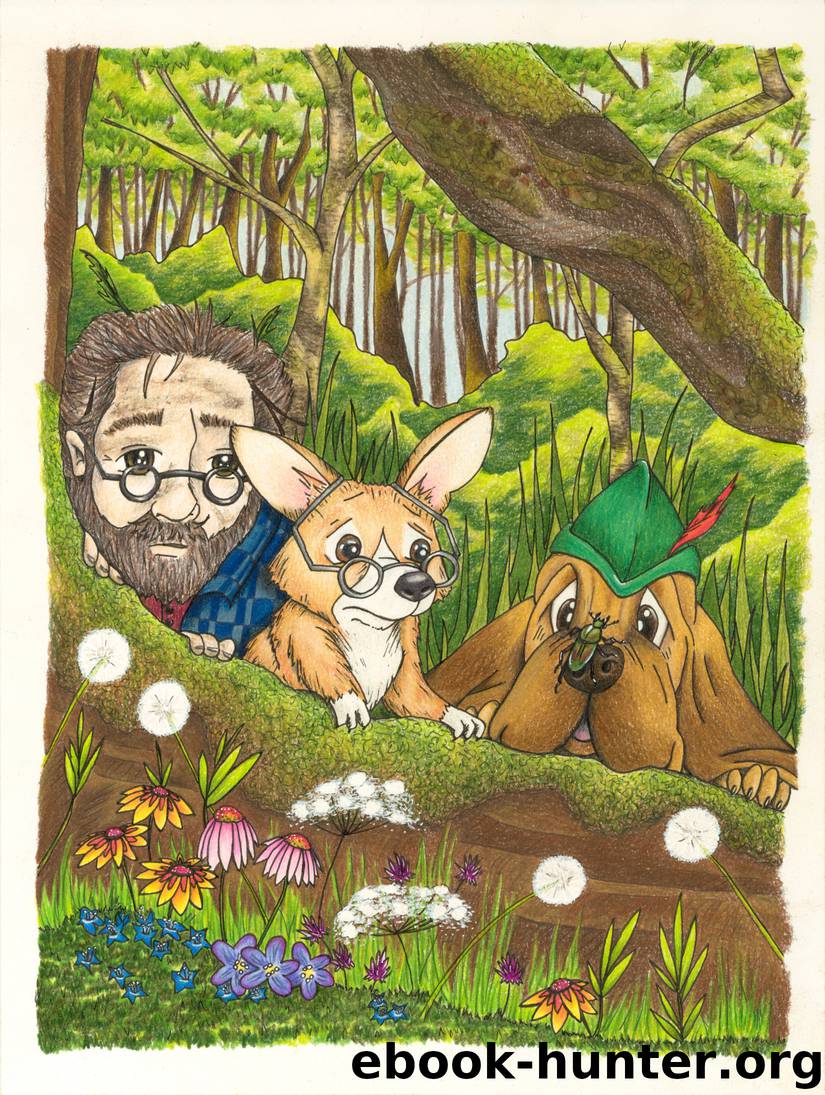 The Adventures of Robin Hound by K. Kibbee