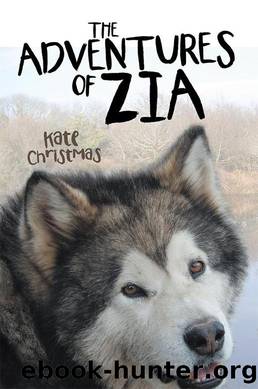 The Adventures of Zia by Kate Christmas