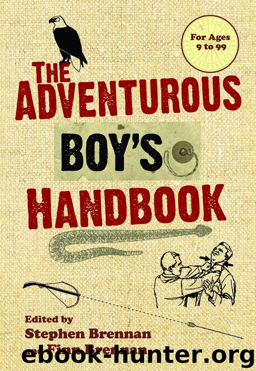 The Adventurous Boy's Handbook by Stephen Brennan Finn Brennan