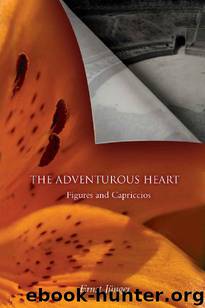 The Adventurous Heart: Figures and Capriccios by Ernst Jünger