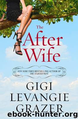 The After Wife by Gigi Levangie Grazer