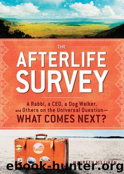 The Afterlife Survey by Maureen Milliken