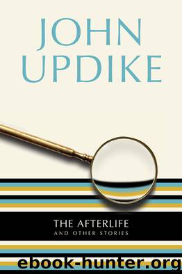 The Afterlife by John Updike
