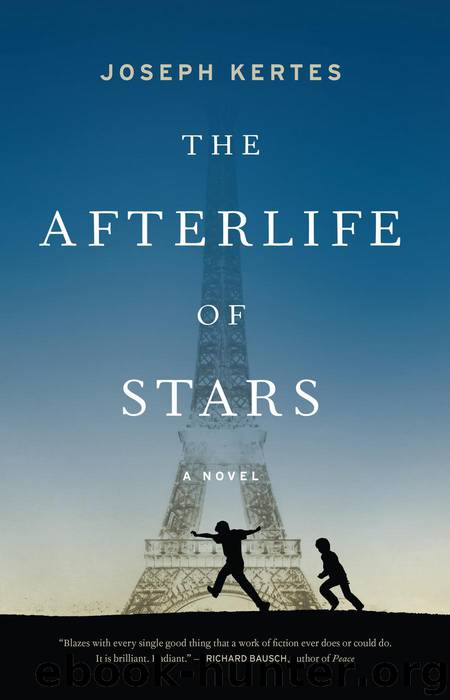 The Afterlife of Stars by Joseph Kertes