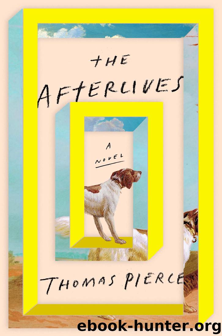 The Afterlives by Thomas Pierce