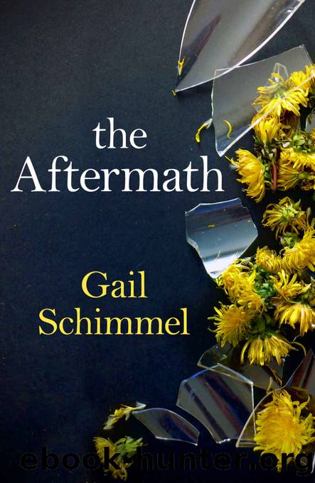 The Aftermath by Gail Schimmel