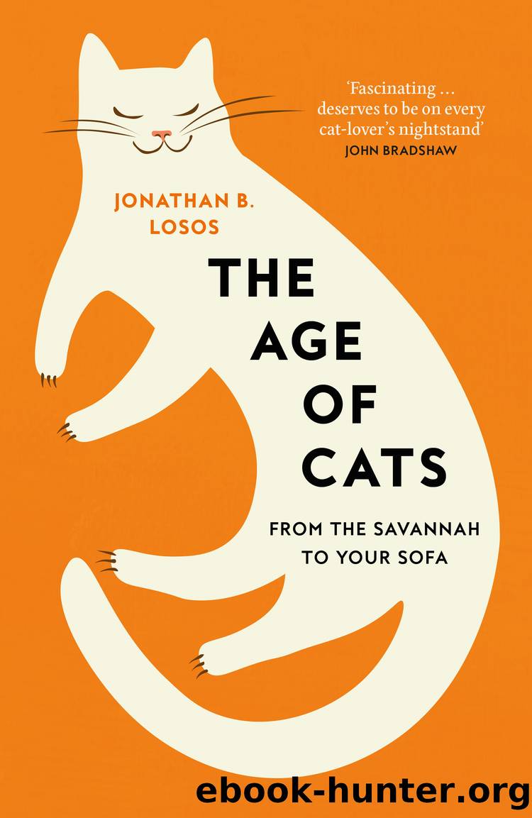 The Age of Cats by Jonathan B. Losos