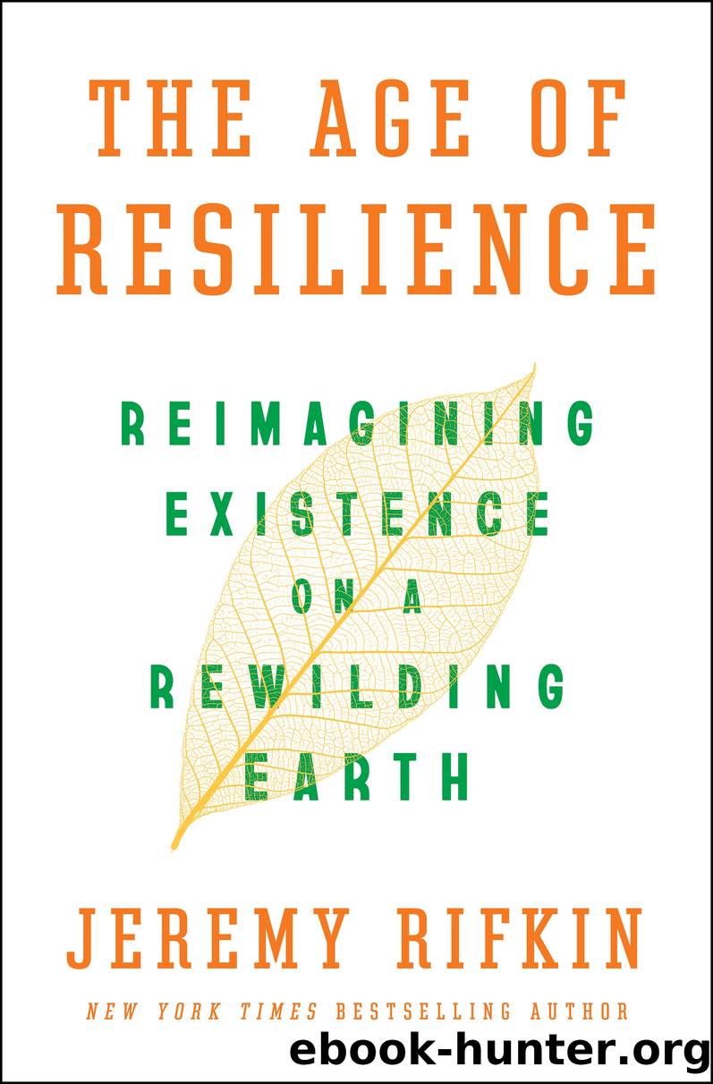 The Age of Resilience by Jeremy Rifkin