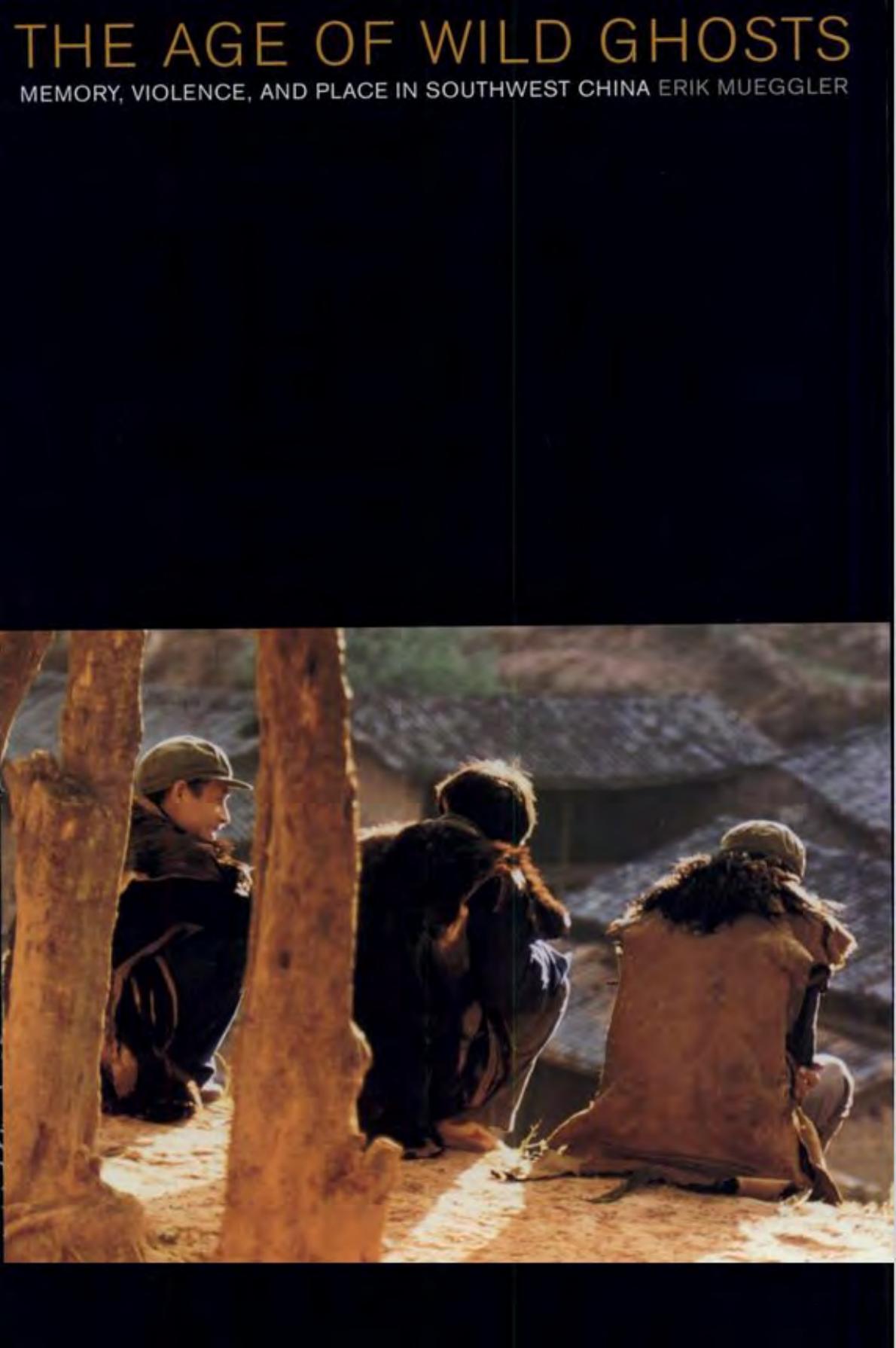 The Age of Wild Ghosts, Memory, Violence, and Place in Southwest China by Erik Mueggler