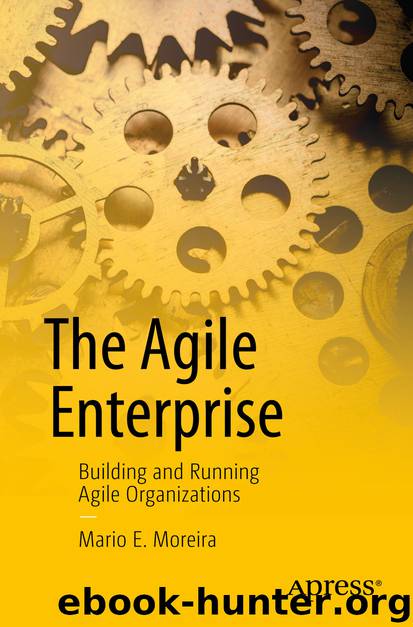 The Agile Enterprise by Mario E. Moreira