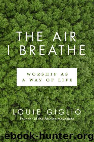 The Air I Breathe by Louie Giglio