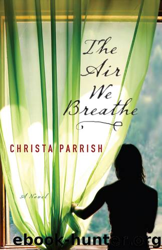 The Air We Breathe by Christa Parrish