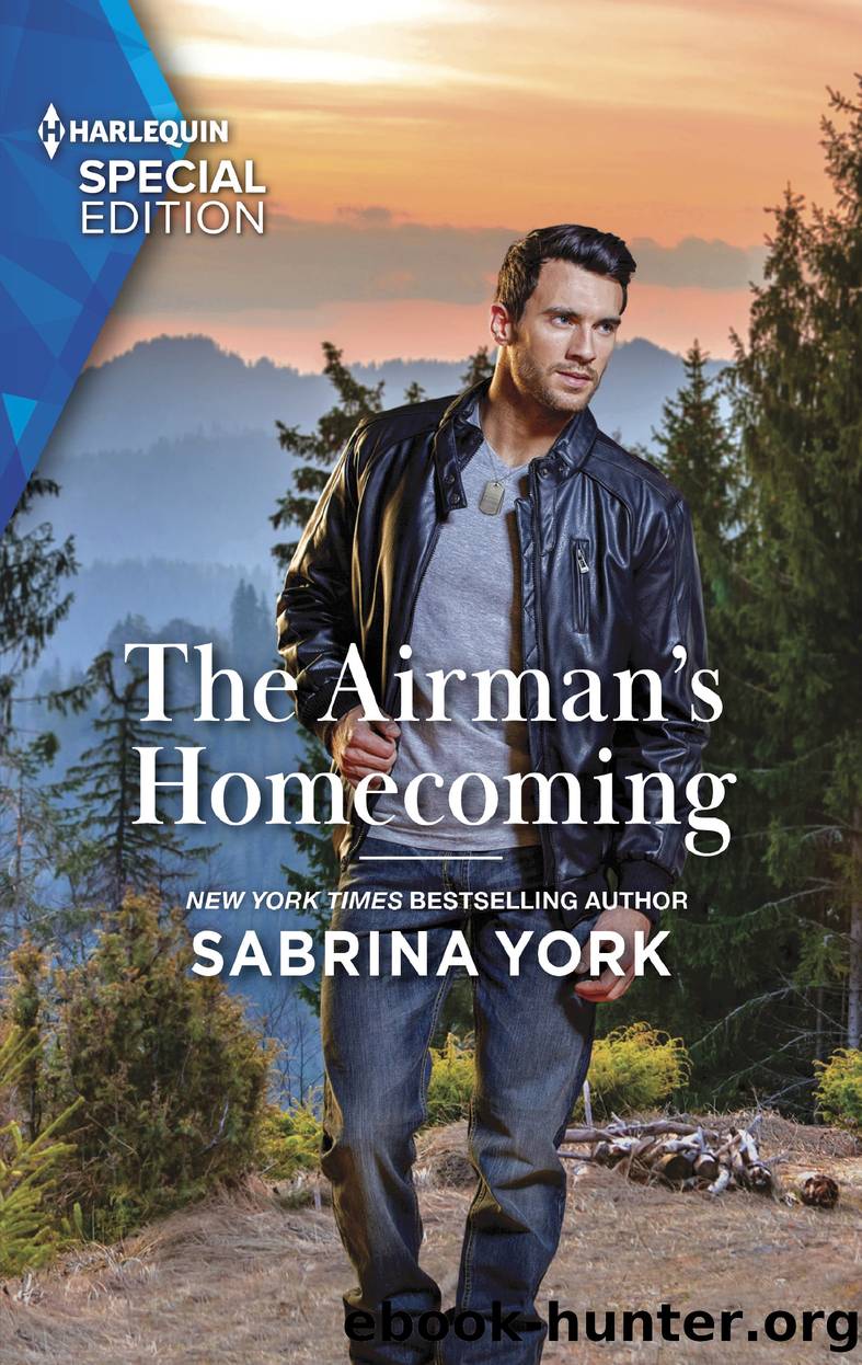 The Airman's Homecoming by Sabrina York