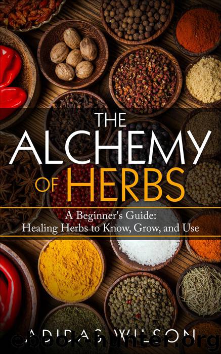 The Alchemy of Herbs--A Beginner's Guide by Adidas Wilson